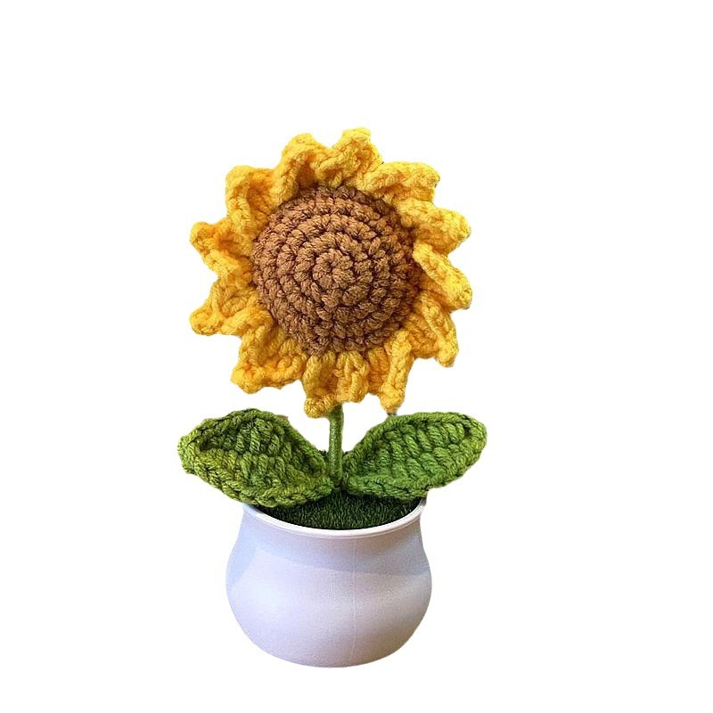 Finished Hand-woven Potted Plants