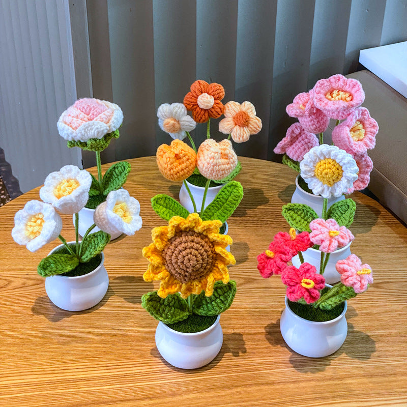 Finished Hand-woven Potted Plants