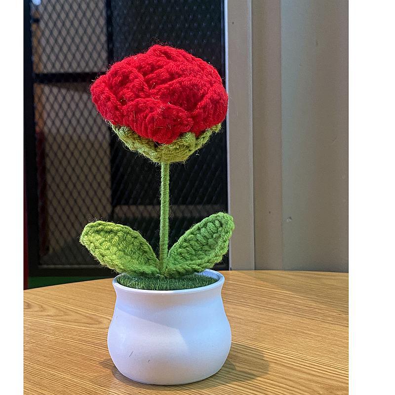 Finished Hand-woven Potted Plants