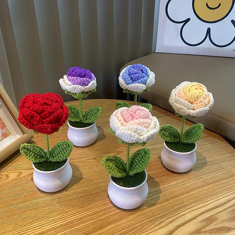 Finished Hand-woven Potted Plants