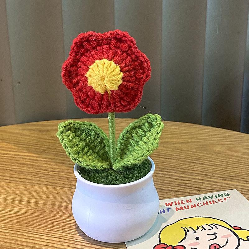 Finished Hand-woven Potted Plants