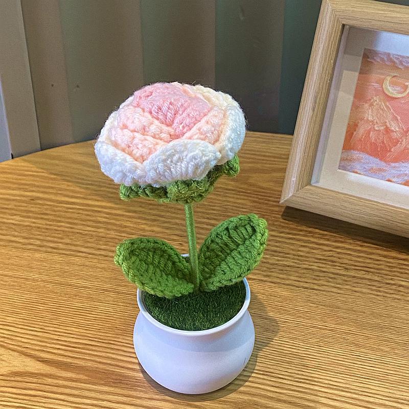 Finished Hand-woven Potted Plants