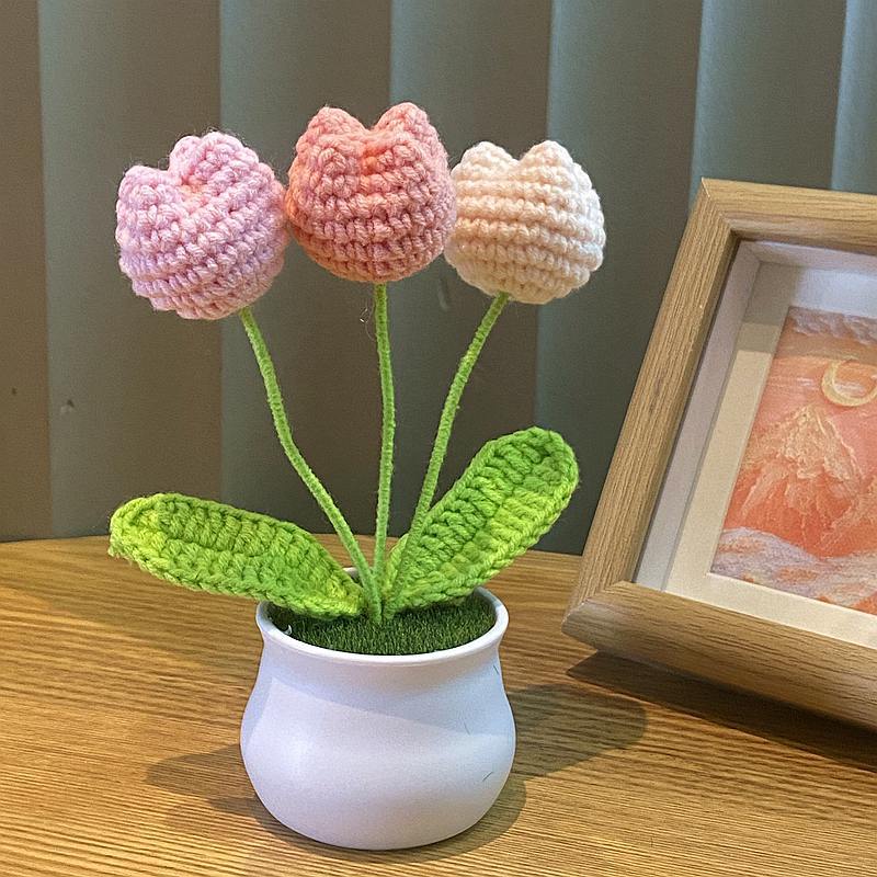 Finished Hand-woven Potted Plants